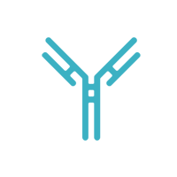 Monoclonal Antibodies